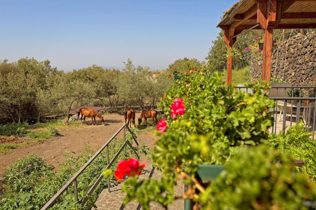 Horse House Διαμέρισμα Ragalna Εξωτερικό φωτογραφία